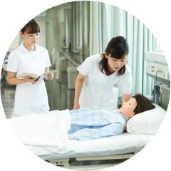 インターンシップへのリンク